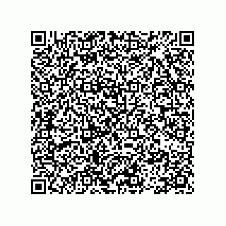 vCard 78113475388