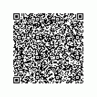 vCard 78113475393