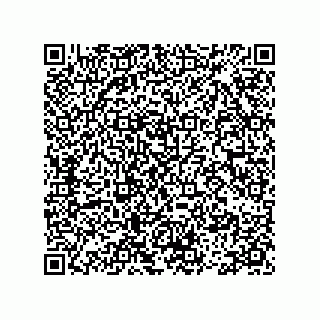 vCard 78113475401