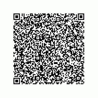 vCard 78113475408
