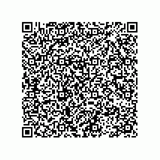 vCard 78113475411