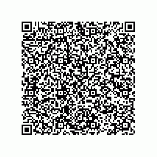 vCard 78113475413