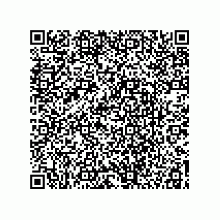 vCard 78113479121