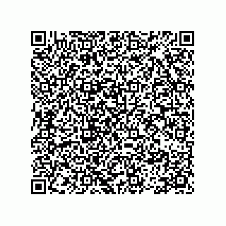 vCard 78113479128