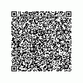 vCard 78113479129