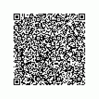 vCard 78113479131