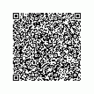 vCard 78113493100