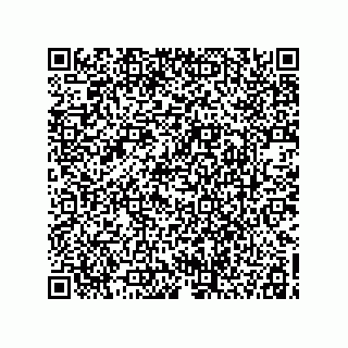 vCard 78113493101