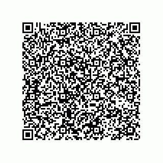 vCard 78113493103