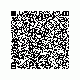 vCard 78113493104
