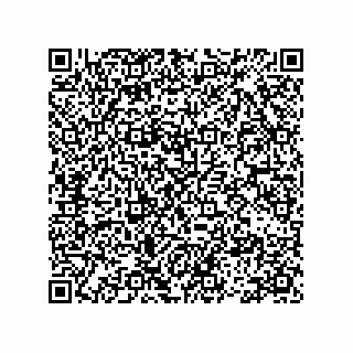 vCard 78113493111