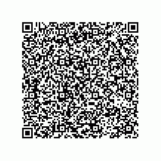 vCard 78113493128