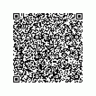 vCard 78113493129