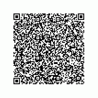 vCard 78113493131