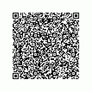 vCard 78113493133