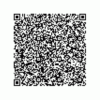 vCard 78113493137