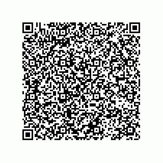 vCard 78113493141