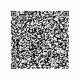 vCard 78113493145