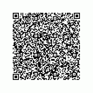 vCard 78113493153