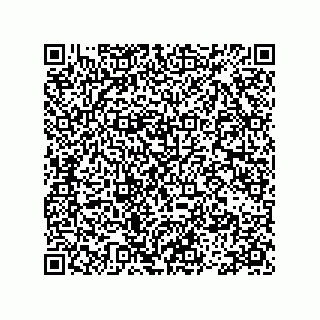 vCard 78113493157