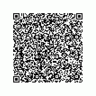 vCard 78113493169