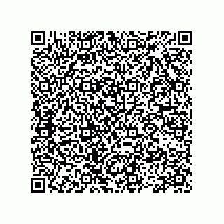 vCard 78113493170