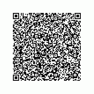 vCard 78113493181