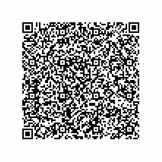 vCard 78113493199
