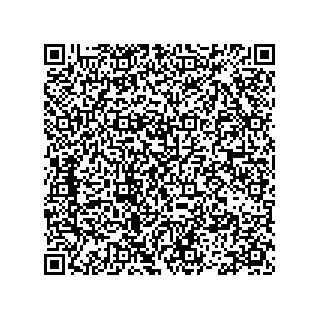 vCard 78113493200