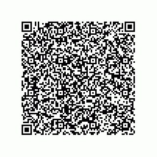 vCard 78113493207