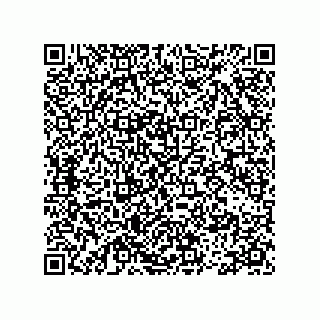vCard 78113493219
