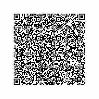 vCard 78113499133