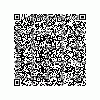 vCard 78113499142