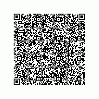 vCard 78113499177