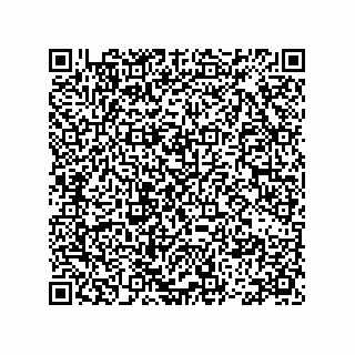 vCard 78113499184