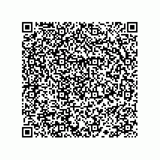 vCard 78113523301