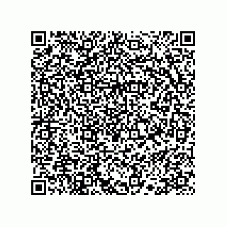 vCard 78113523311