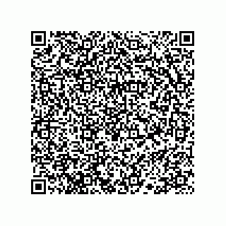 vCard 78113523319