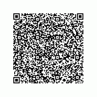 vCard 78113523331
