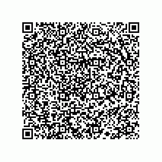 vCard 78113523341