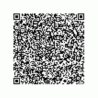 vCard 78113523377