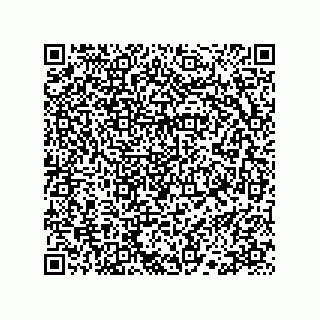 vCard 78113523381