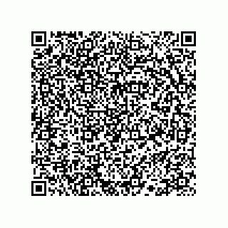 vCard 78113523387