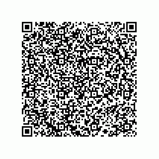 vCard 78113523389
