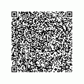 vCard 78113523408