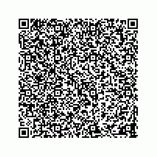 vCard 78113821315