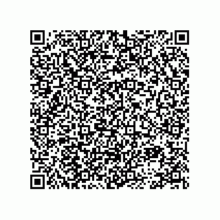 vCard 78113872001