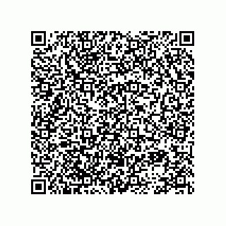vCard 78113872002
