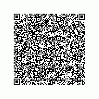 vCard 78113872081