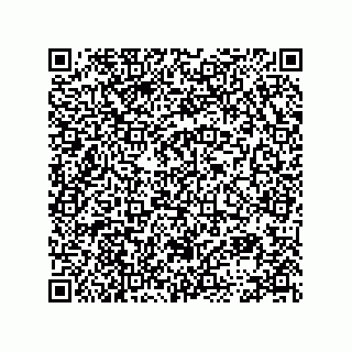 vCard 78113872111
